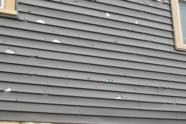 Best Construction Debris Removal  in Ridge, NY