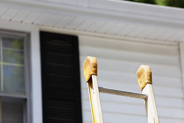 Best Hoarding Cleanup  in Ridge, NY